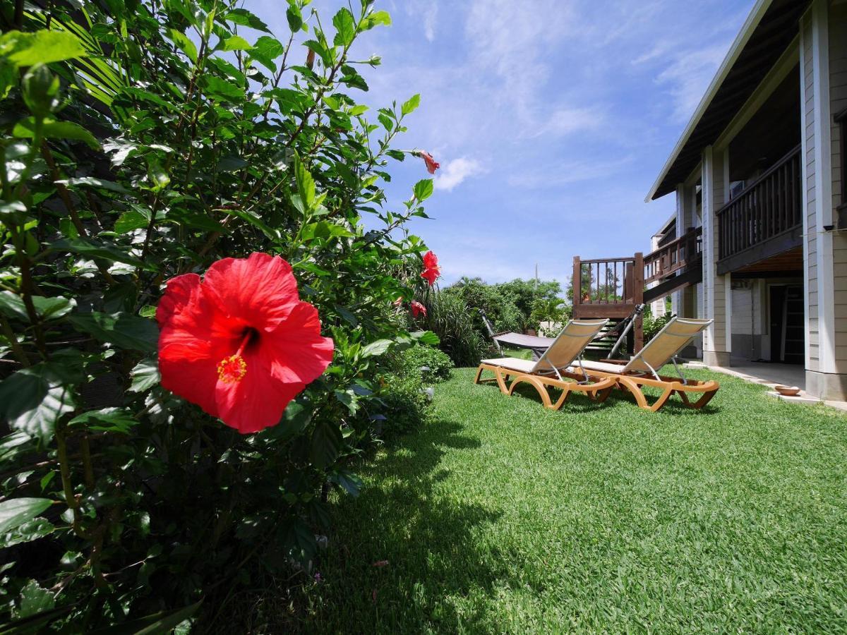 Private Vacation Villa Kohola موتوبو المظهر الخارجي الصورة